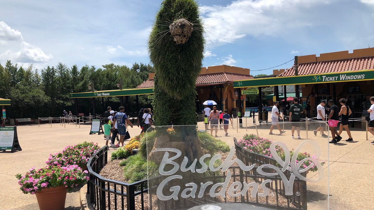 After-Hours Fun at Busch Gardens' Summer Nights