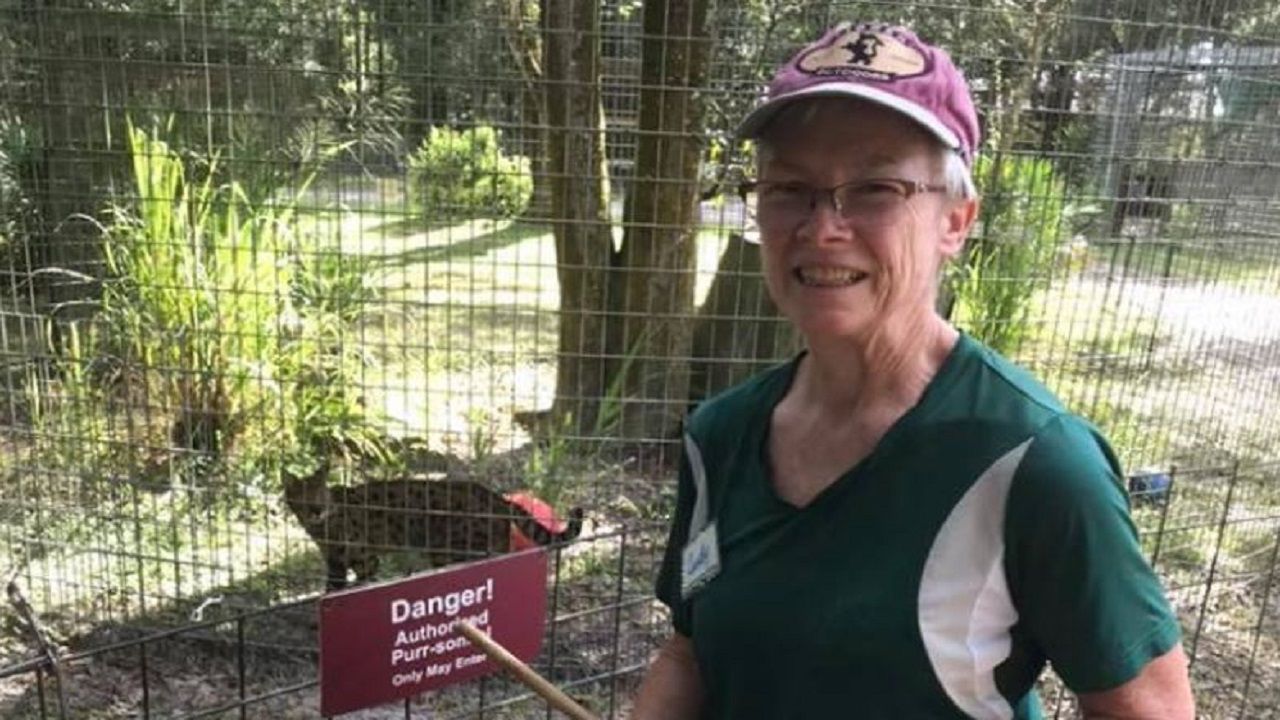 Tiger Attacks Volunteer At Carole Baskin S Big Cat Rescue