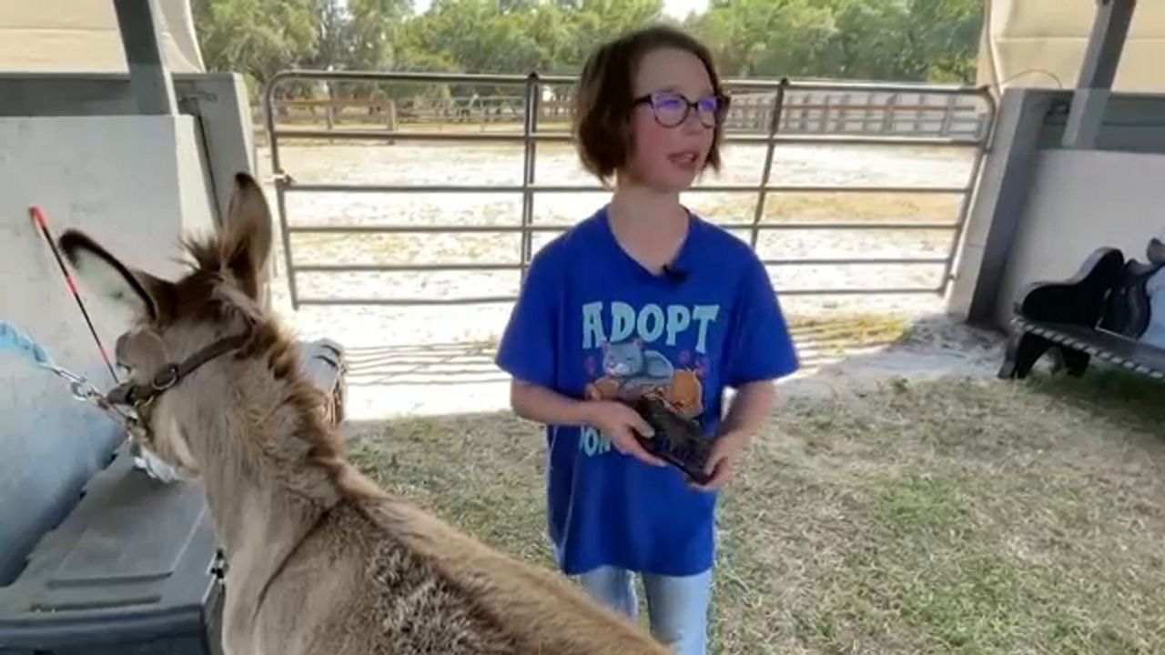 Young Everyday Hero sending her love to animals