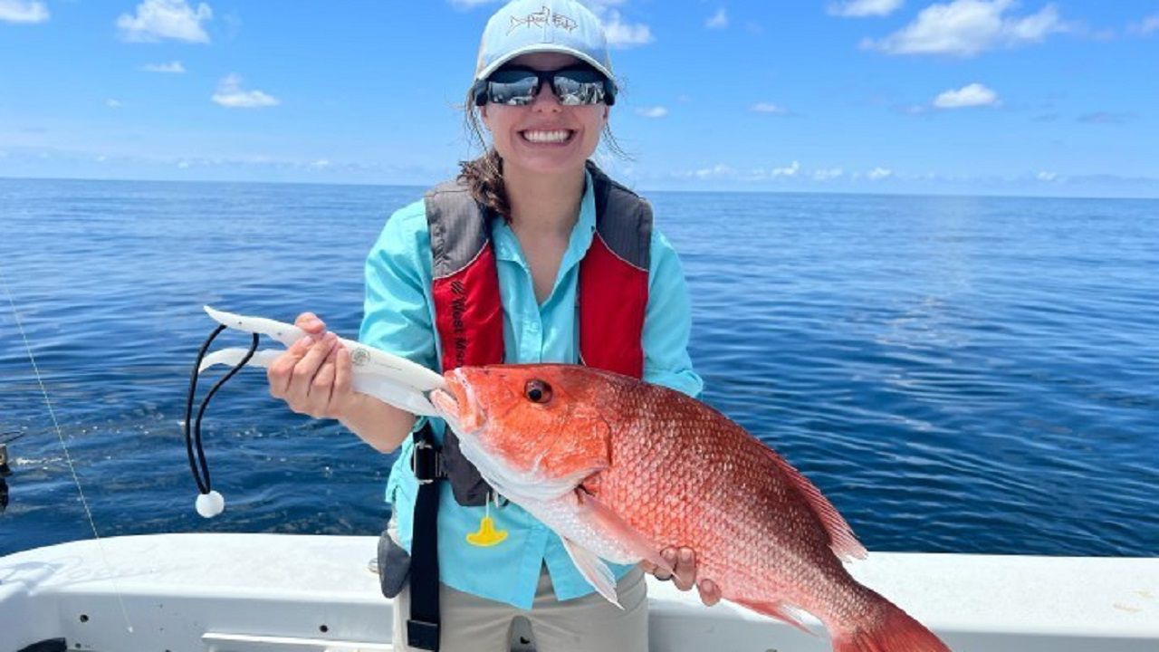 Red snapper 
