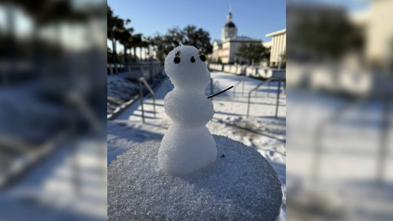 Snow at the Florida State Capitol on Wednesday morning. (Spectrum News/Calvin Lewis)