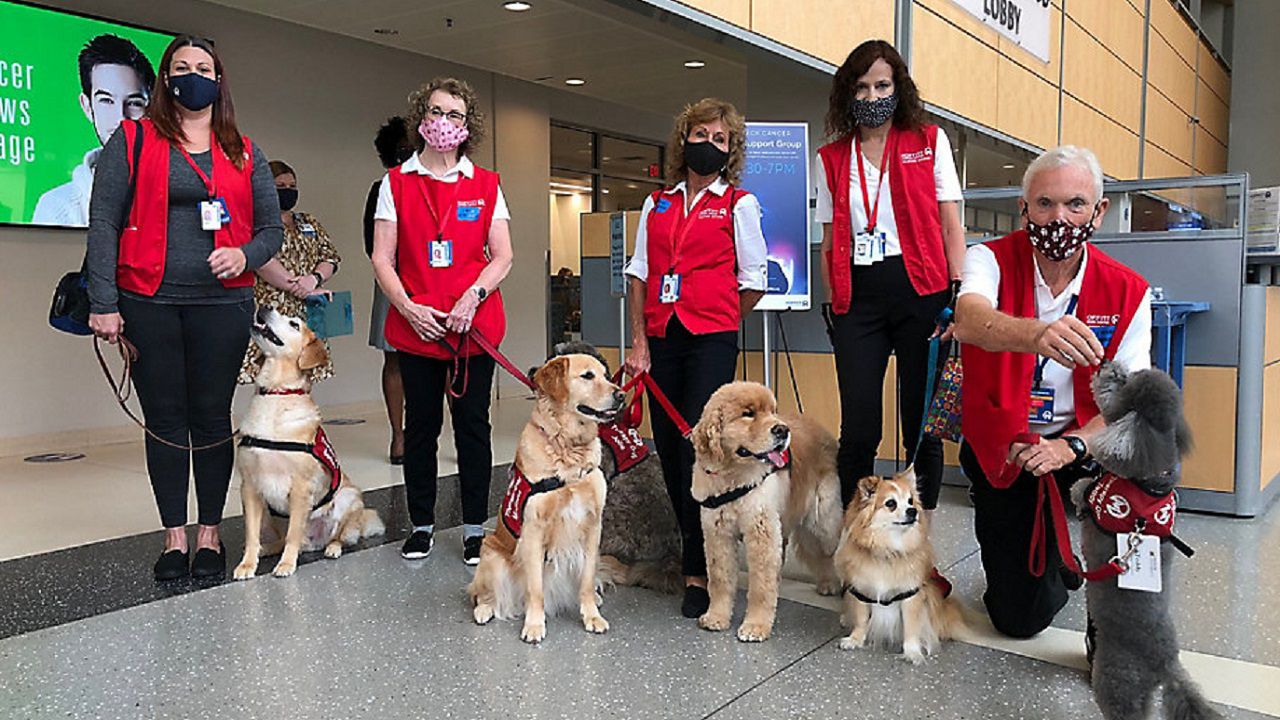 Therapy pets returns to Moffitt Cancer Center