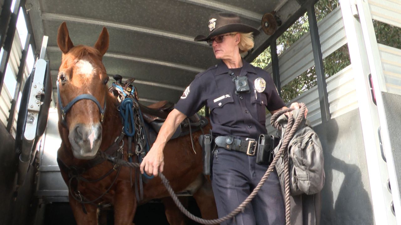 Two Members of LAPD Mounted Unit Prepare to Retire