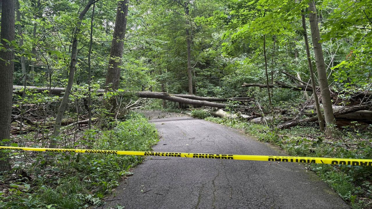 Boardman Township Park continues to recover from tornado