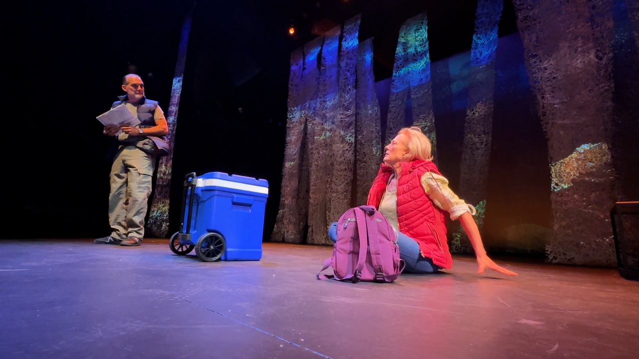 New play responds to call for more roles for mature women
