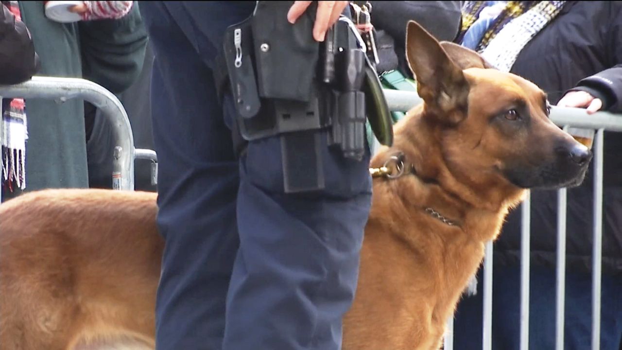 Bomb-sniffing dogs transit hubs Schumer