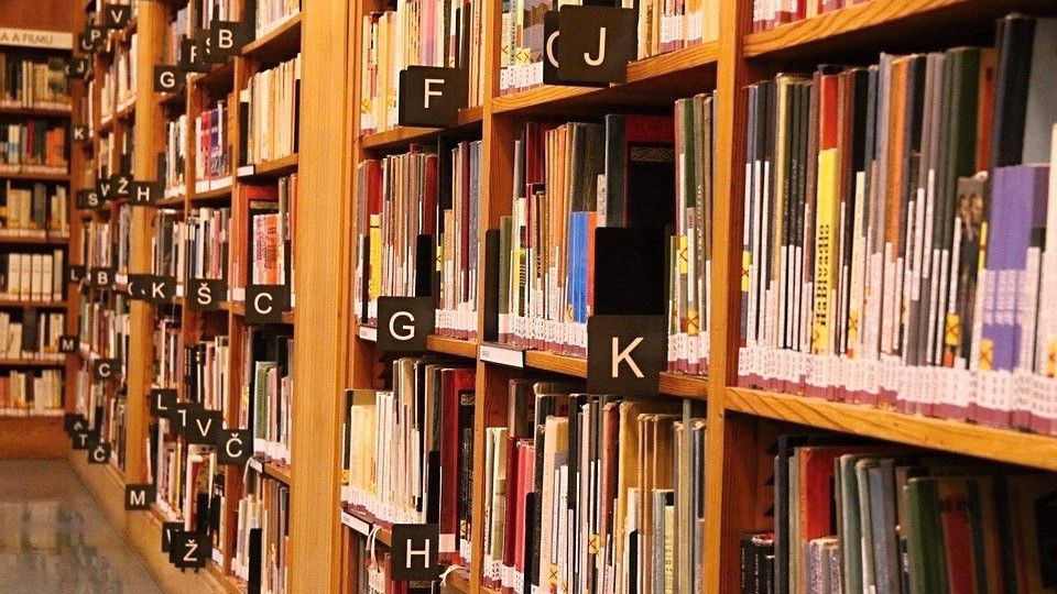 Books appear in a library in this file image. (Spectrum News 1/FILE)