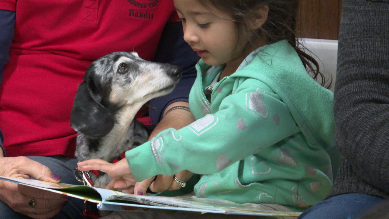 Therapy Dogs Help Kids Learn to Read at Palmdale Library