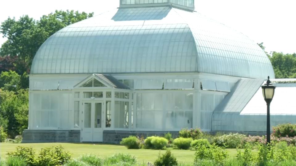 Botanical Gardens Buffalo 