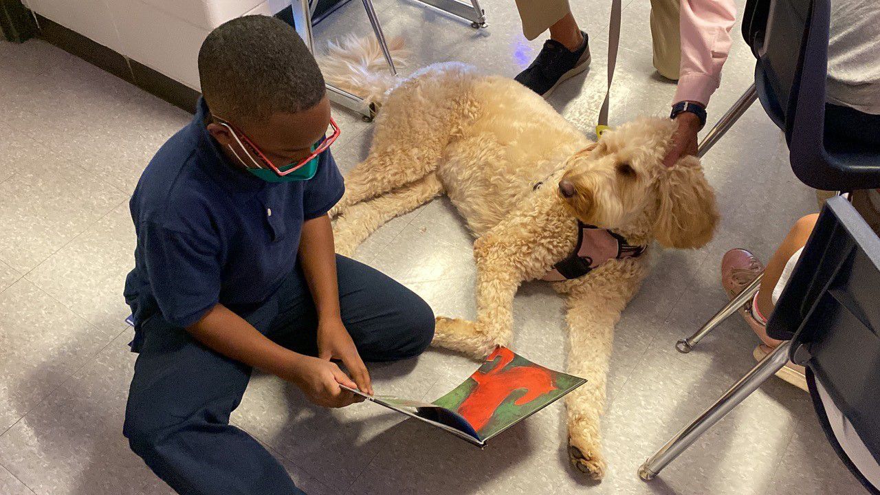 UofL's LALS therapy dog gets as much as he gives