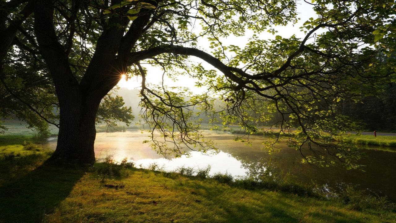 Conservancy for CVNP buys Brandywine