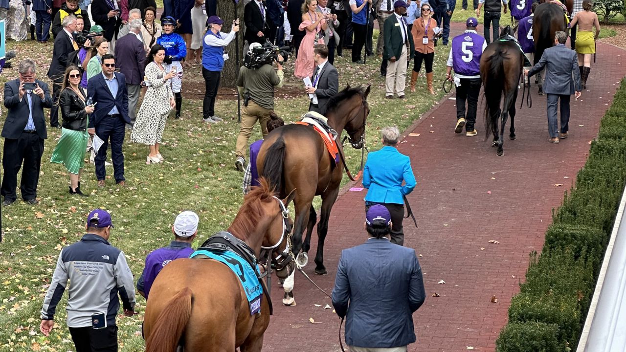 The Breeders' Cup World Championship taking place at Keeneland in Lexington, Kentucky. (Spectrum News 1/Wes Callison)