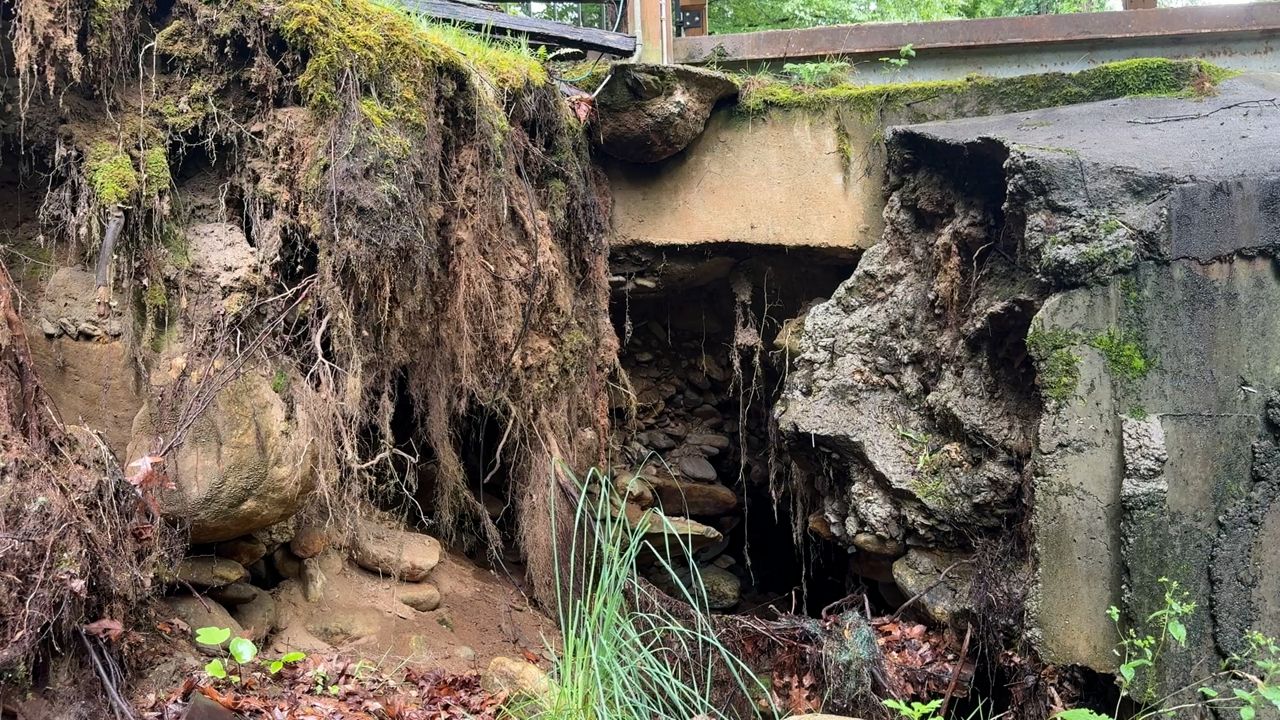 Western N.C. horse sanctuary still waiting for FEMA funds to fix damage caused by Helene