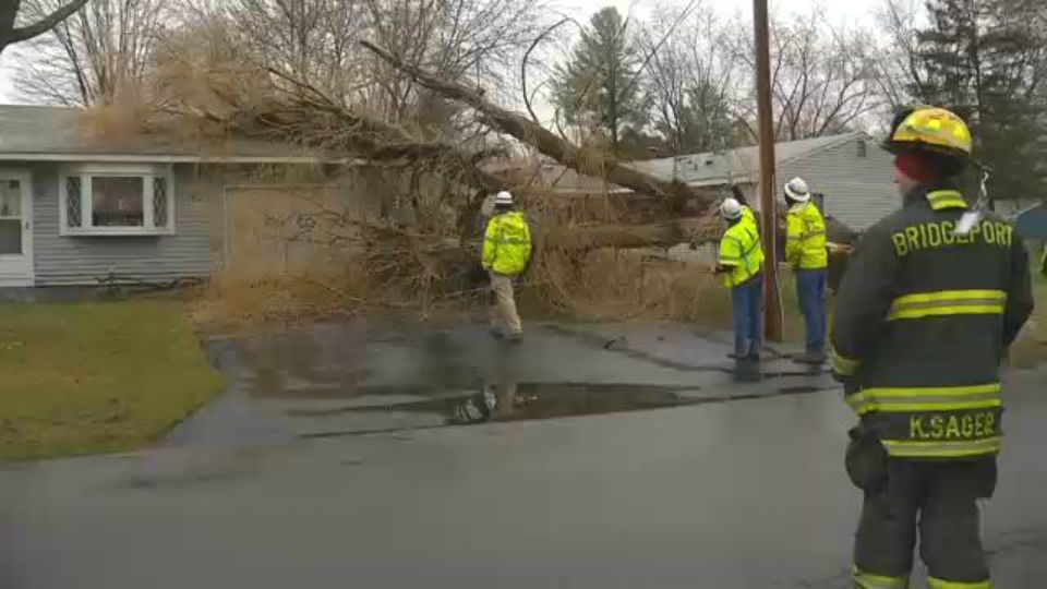 Tree falls on garage at Bridgeport home during ice storm