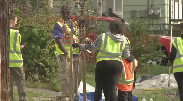 People helping to plant a tree