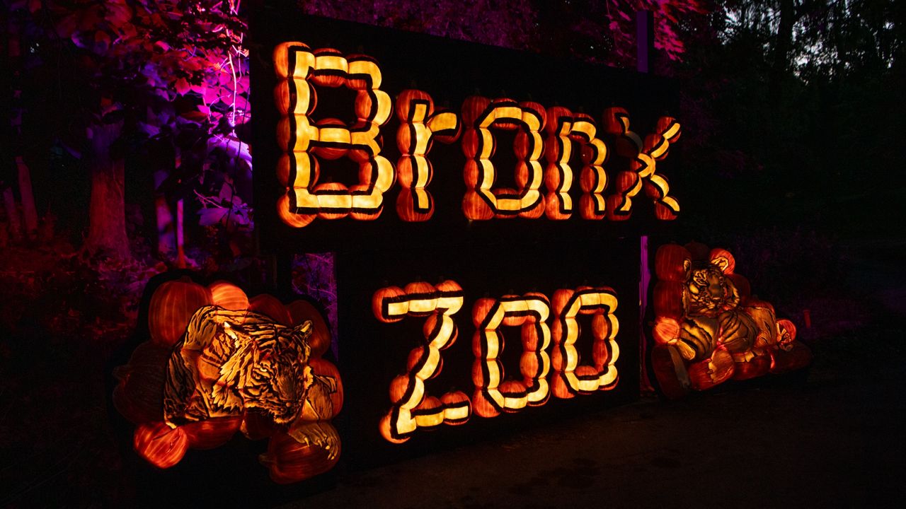 Bronx Zoo