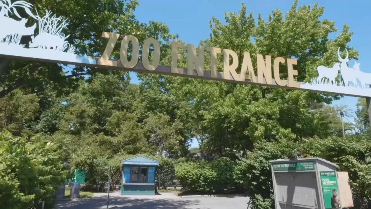 Zoo