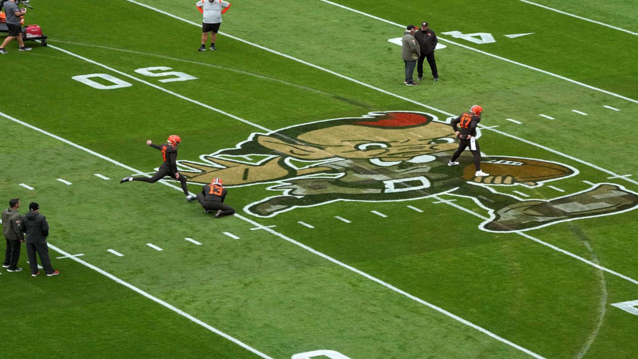 Skunk invades Browns stadium during victory over Bucs