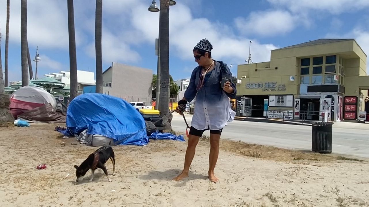 Venice homeless person walking a dog
