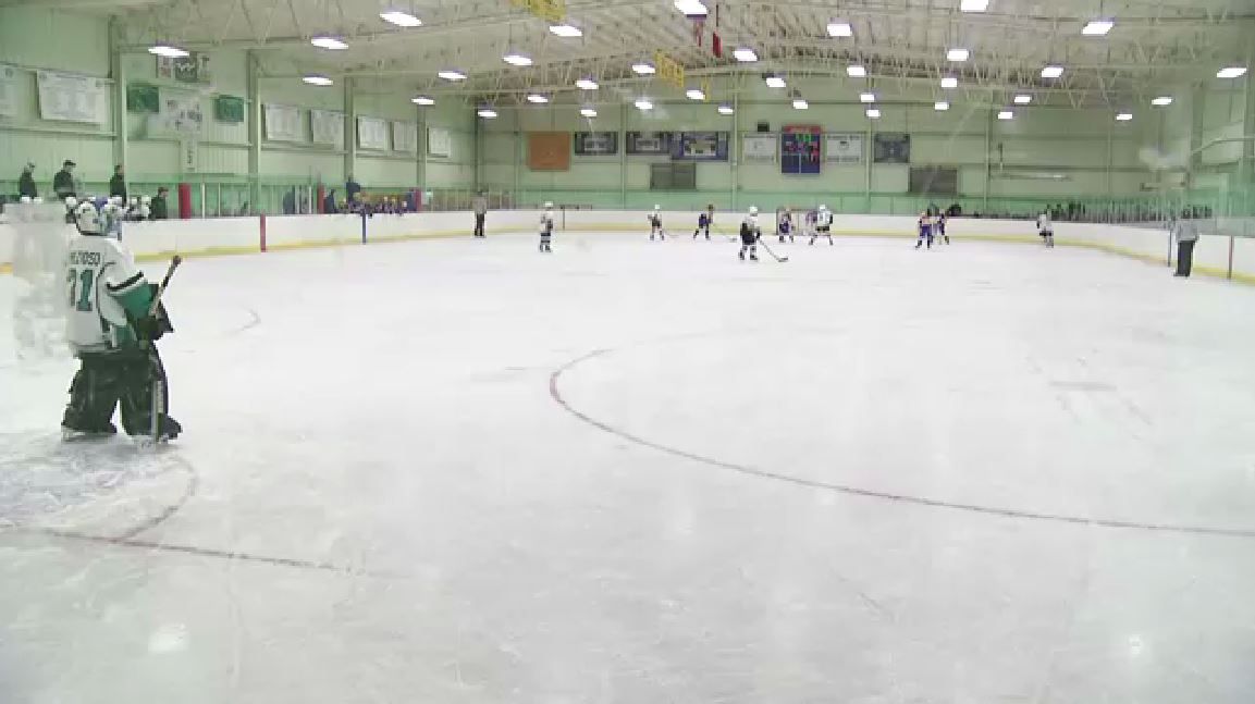 Rallying for a new rink