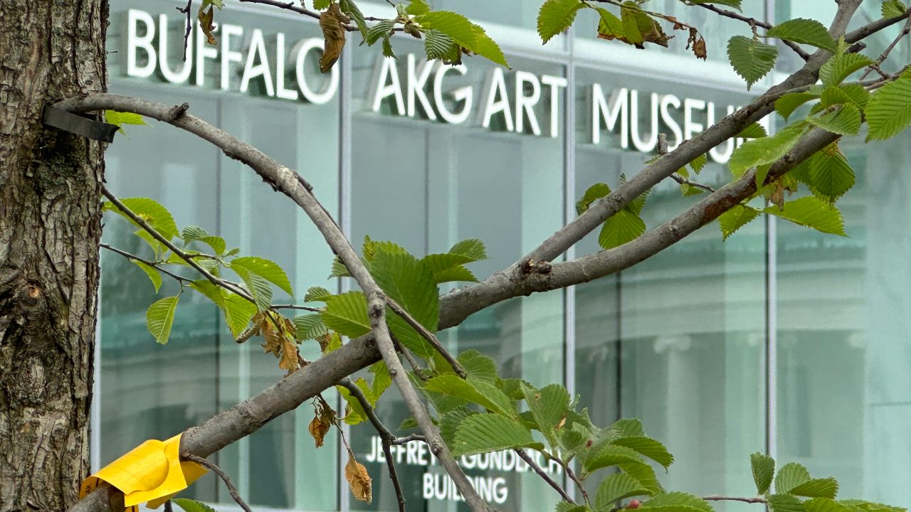 How New Communal Space at the Buffalo AKG Art Museum Hopes To Help