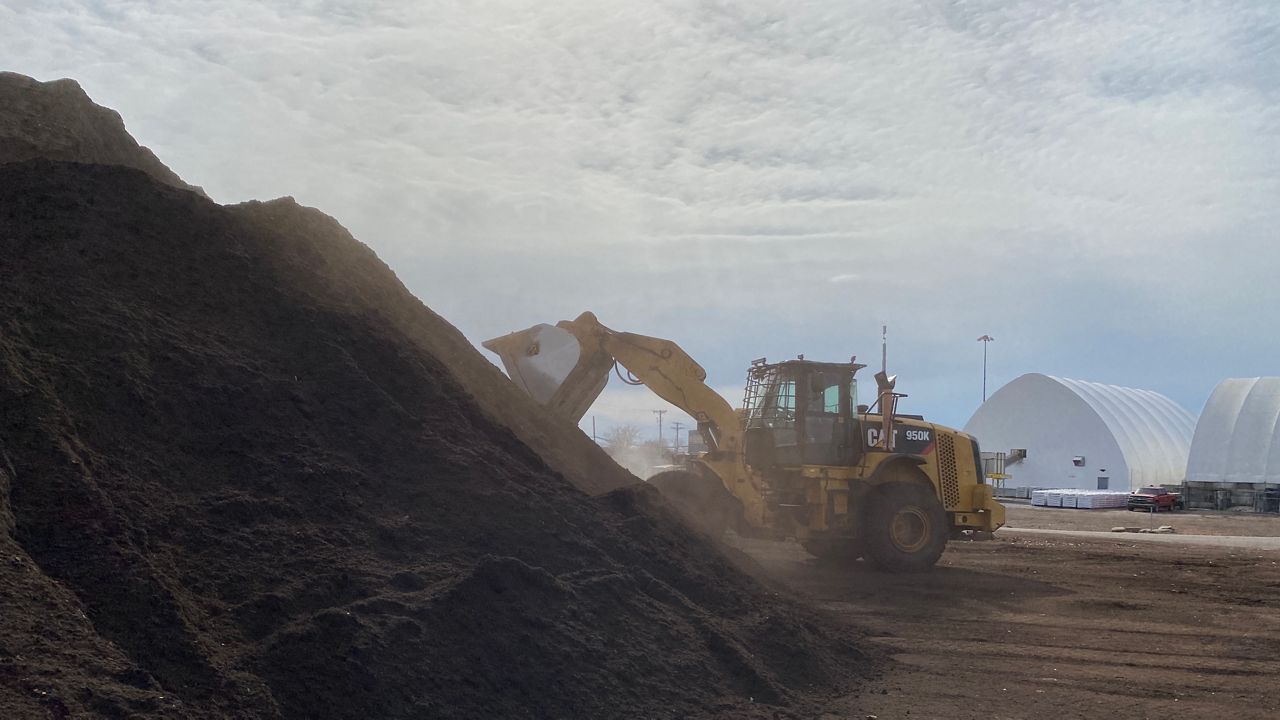 A bulldozer scoops compost out of a massive heap of compost. 