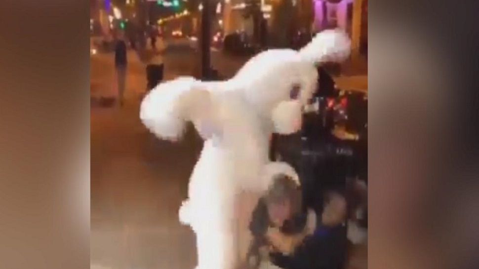 Authorities Brawling Easter Bunny Has Arrests Wanted In Nj 4542