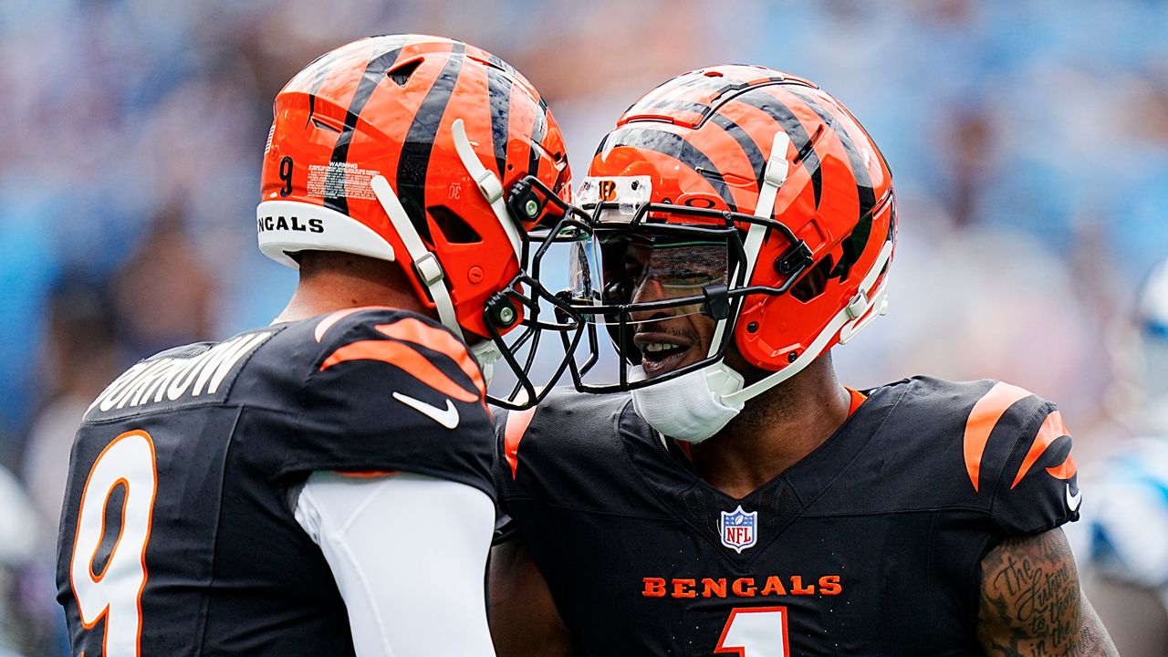 Bengals enter week 5 against the Ravens