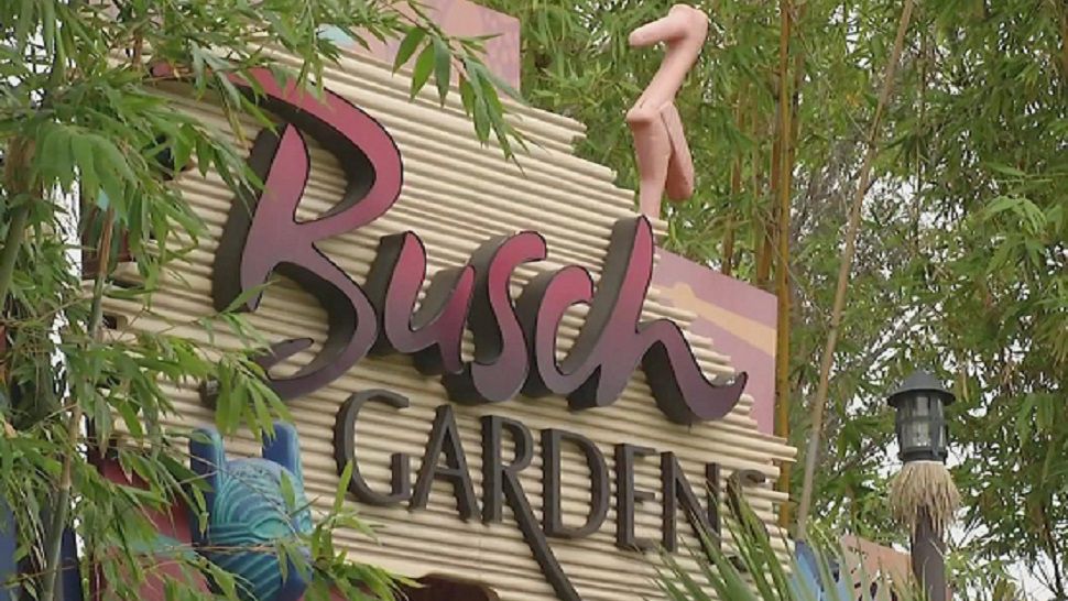Busch Gardens sign. (Spectrum News/File)