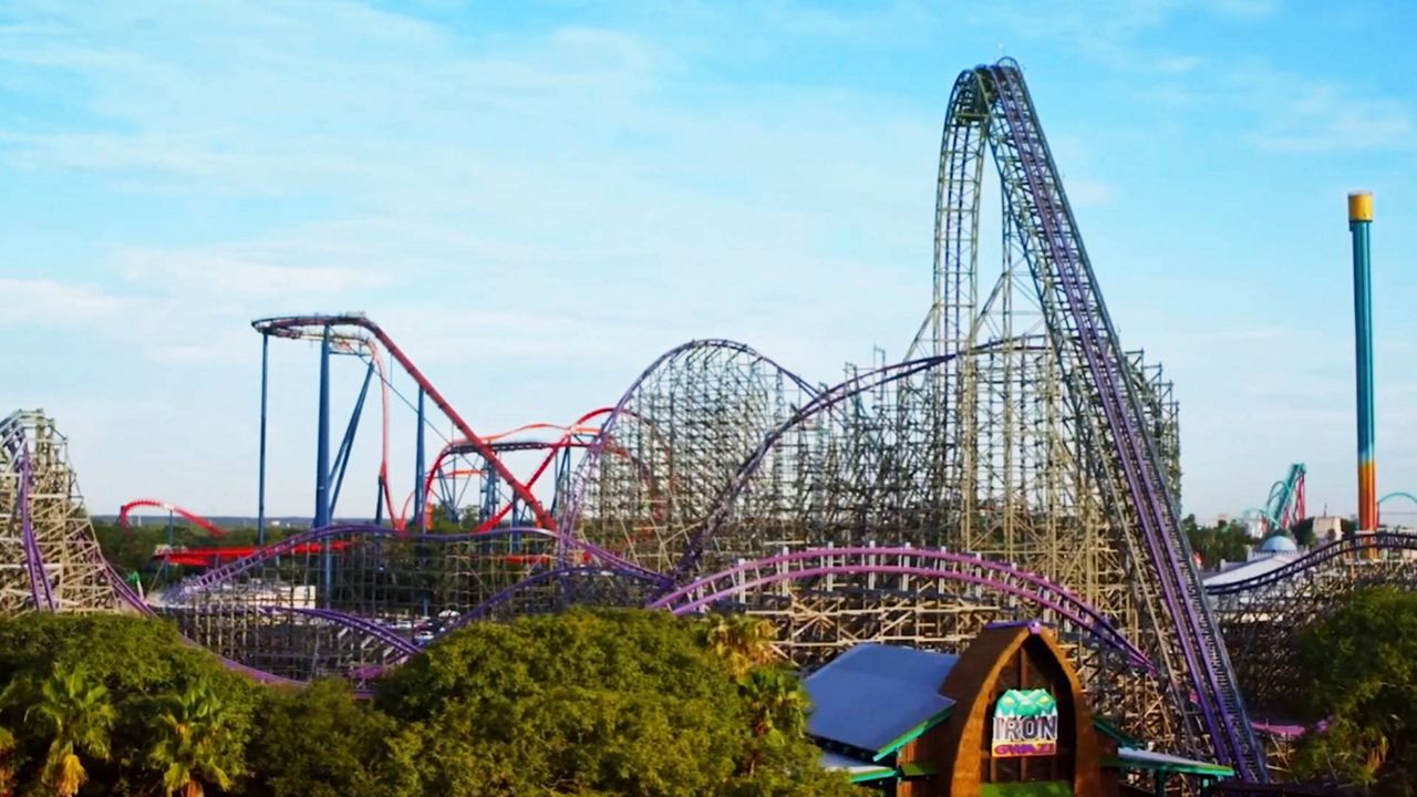 Busch Gardens Tampa Bay is home to many popular roller coasters, such as "Iron Gwazi," "SheiKra," and "Falcon's Fury." (Photo: Busch Gardens Tampa Bay)