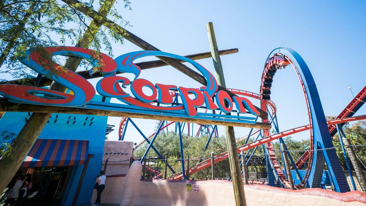 Scorpion first opened on May 16, 1980 and was added as part of the Timbuktu section of the park. Officials said it is the last stationary coaster of its kind. (Photo Courtesy: Busch Gardens Tampa Bay)