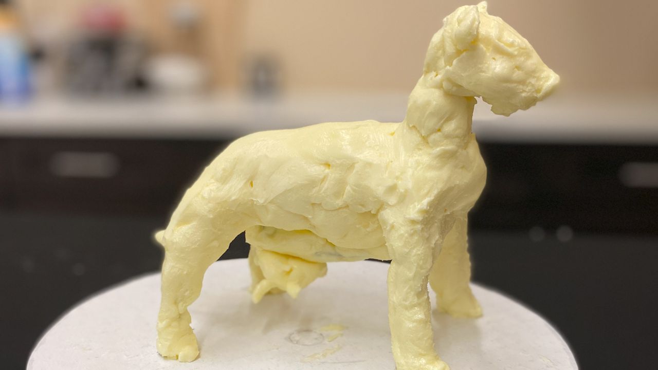 DIY contest gives chance to bring butter cow sculpture home