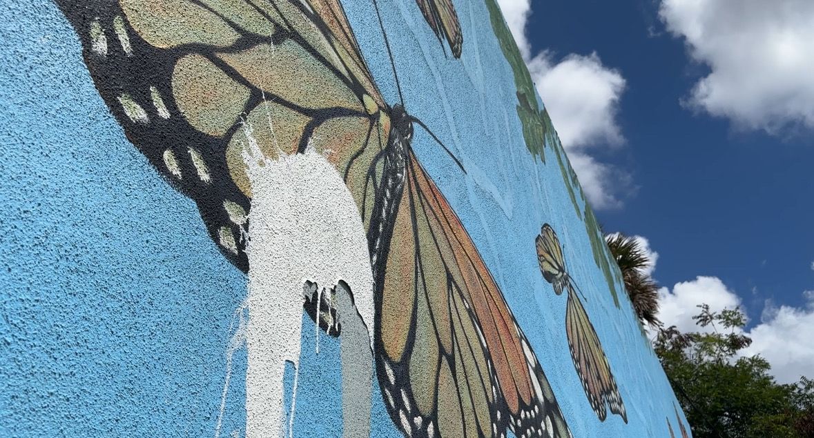 Courtney Canova is responsible for many DeLand murals in the heart of the city. His butterfly mural was been vandalized recently. (Spectrum News/Devin Martin)