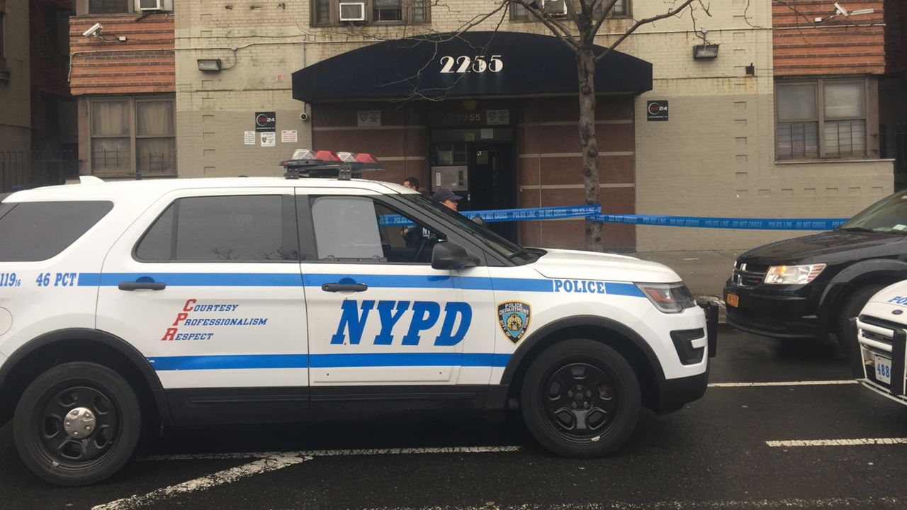 NYPD officer struck by vehicle Bronx