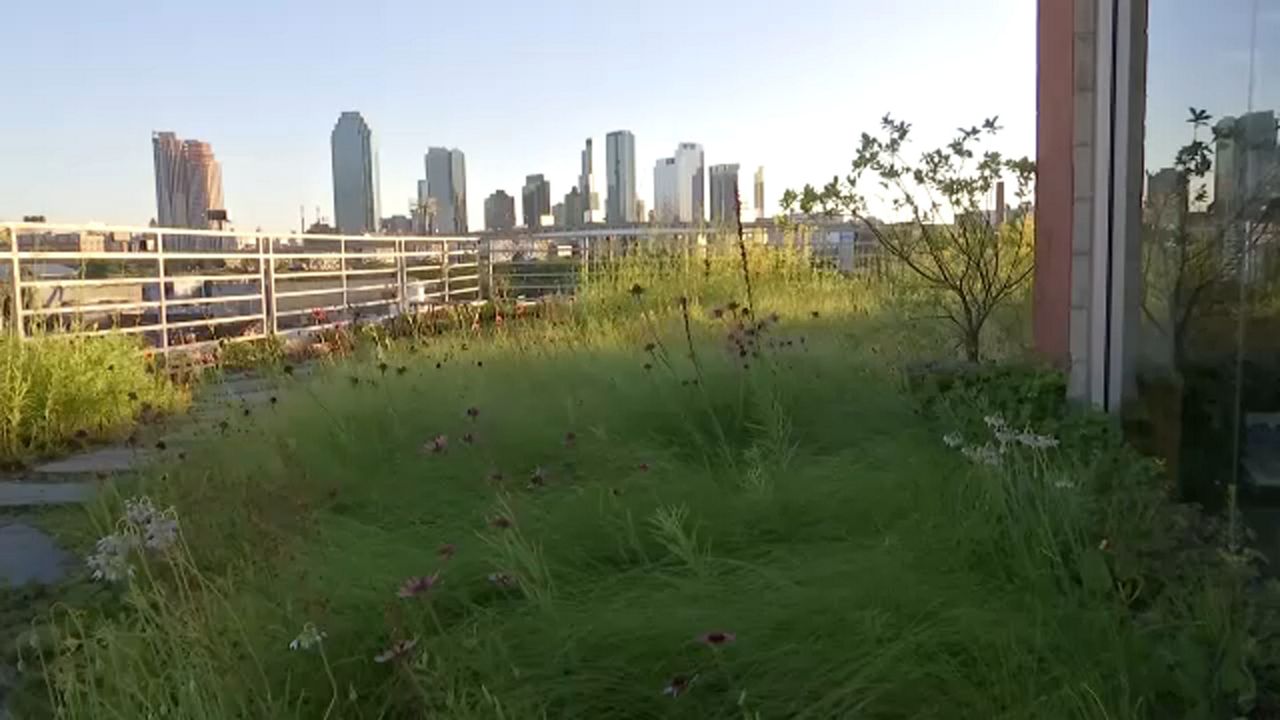 The Kingsland Wildflowers in Greenpoint was completed last year
