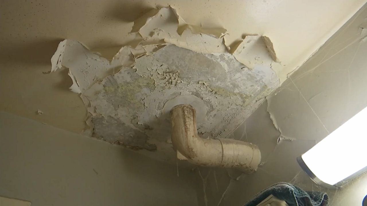 LeadPaint Problems Persist in & out of Bronx Public Housing