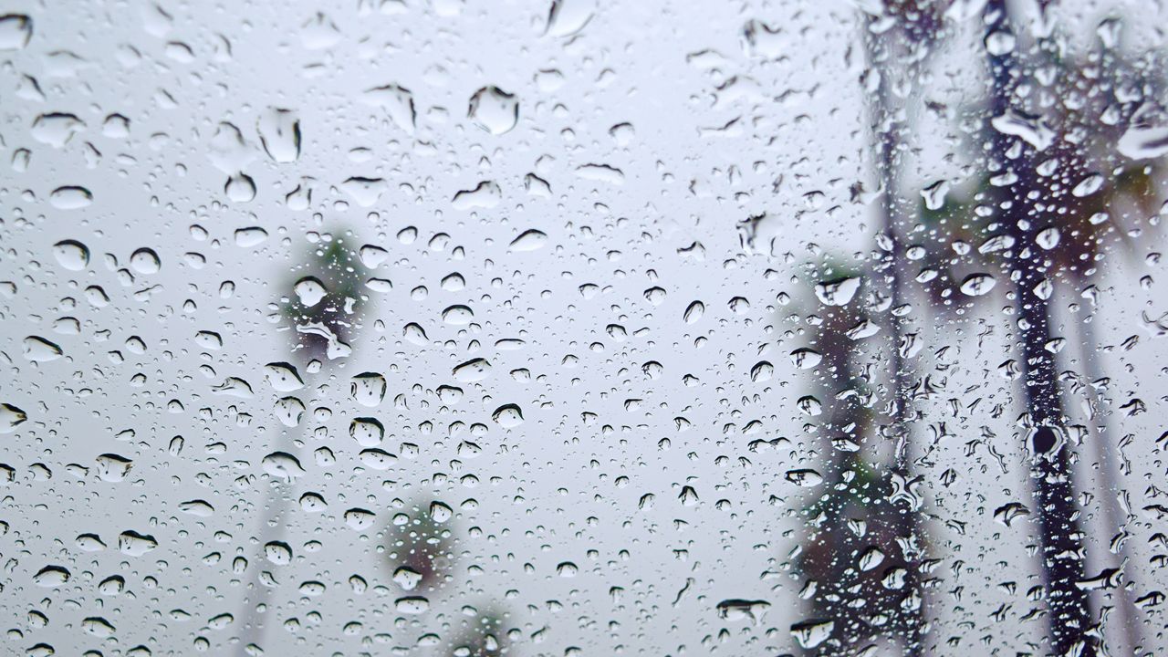 Raindrops on a window