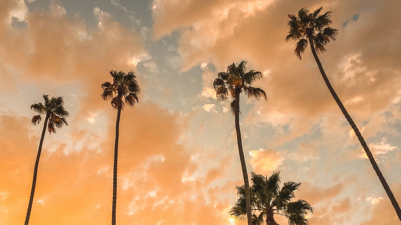 Mid to high level clouds contributed to an amazing sky this week