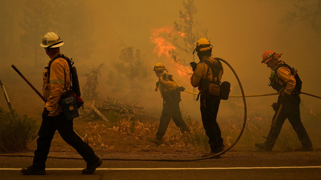 Fire report. Fireman's carry. Fire reporting. Benefits from Fires.