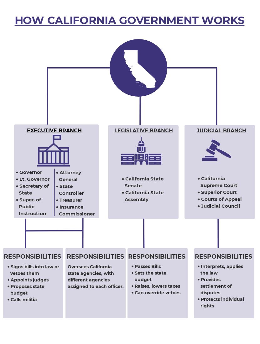 3 branches of government chart