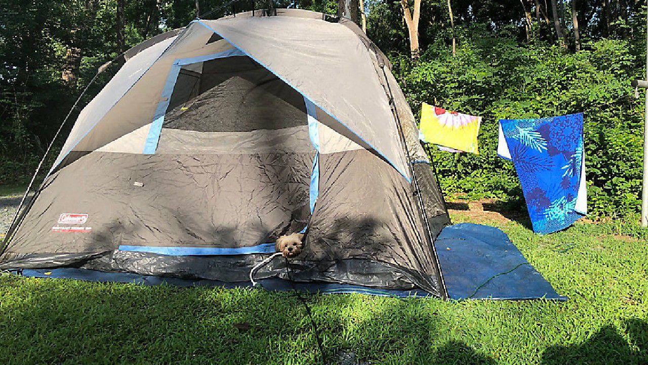 Coleman river gorge outlet 6 person dome tent