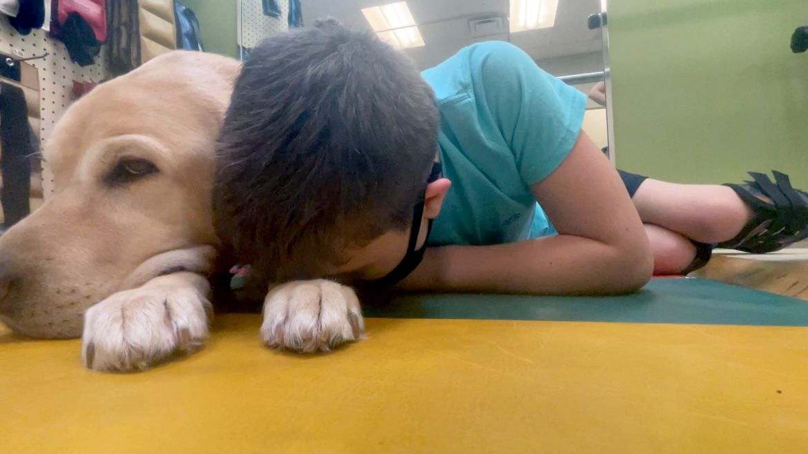 Nonprofit trains service dogs for families, free of charge