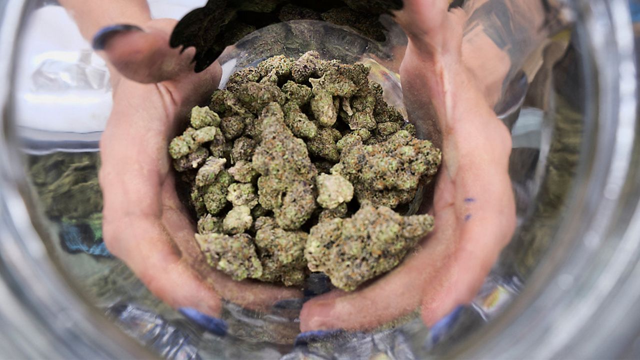 A "bud tender" displays a jar of cannabis. (AP Photo/Richard Vogel, File)