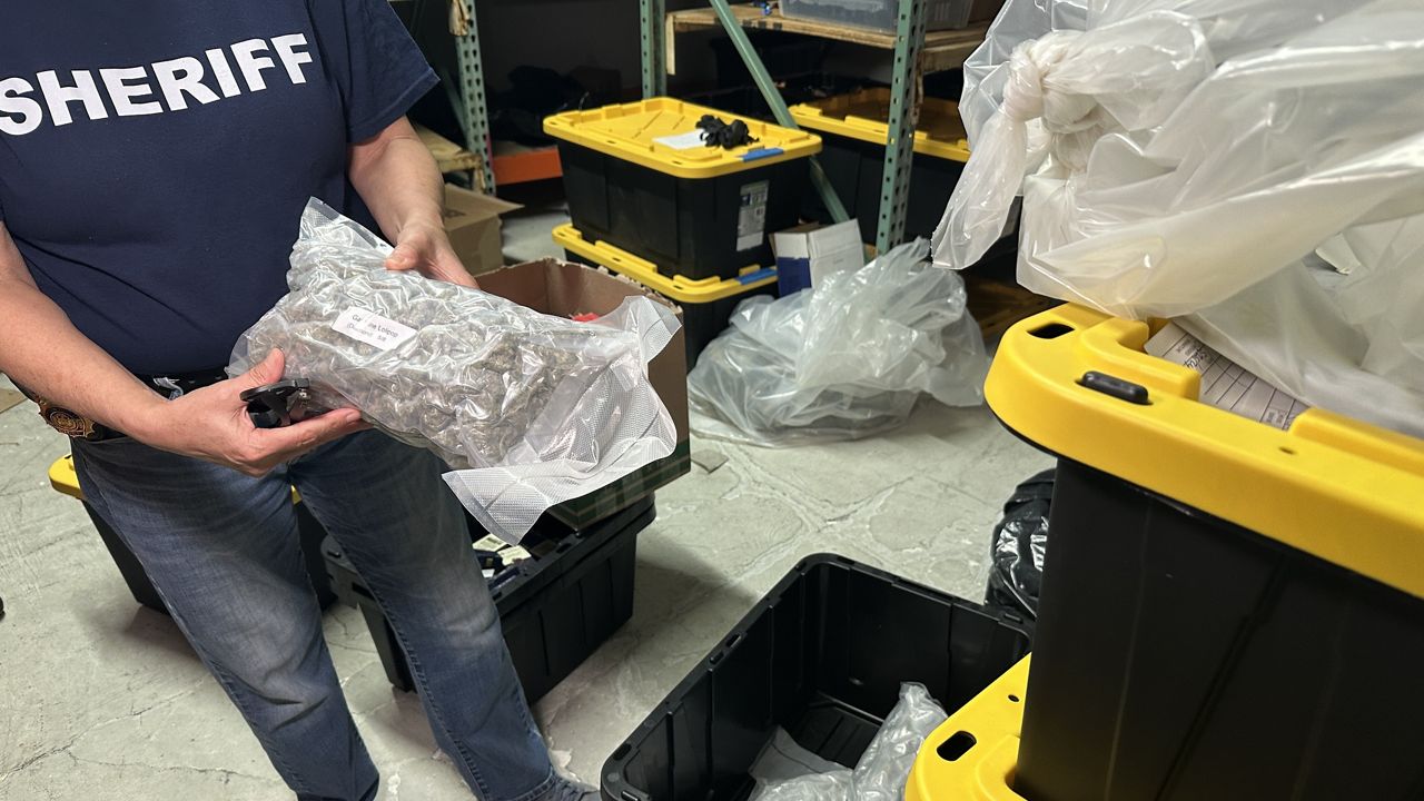 Sheriff’s Office seizes millions in illegal cannabis product