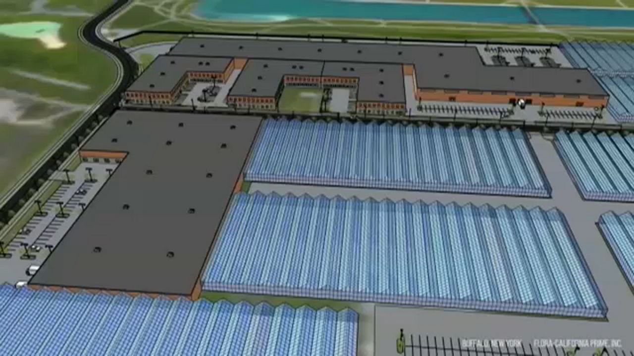 Buffalo planning board approves plans for cannabis campus