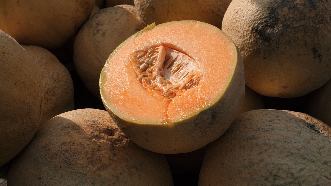 FDA expands cantaloupe recall