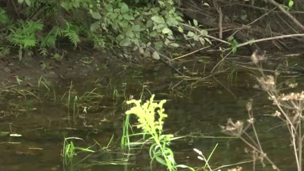 2yearold dead after apparent drowning in Canton