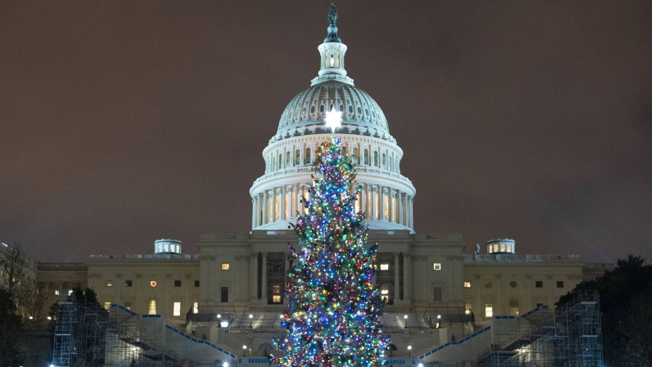 U.S. Capitol Christmas Tree is seen at the U.S. Capitol at night after negotiators sealed a deal for COVID relief Sunday. (AP Photo/Jose Luis Magana.)