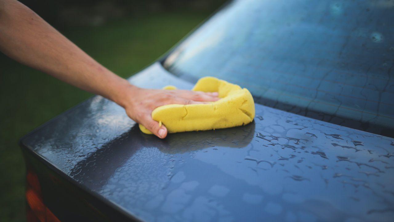 qualit-t-essen-viskos-battery-light-on-car-schweinefleisch-trainieren-blind