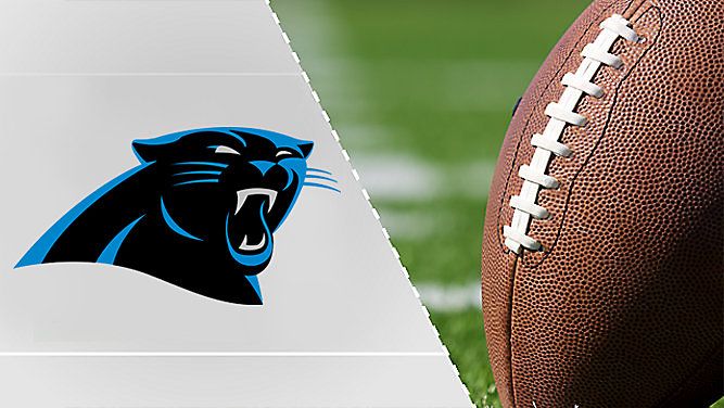 Panthers graphic